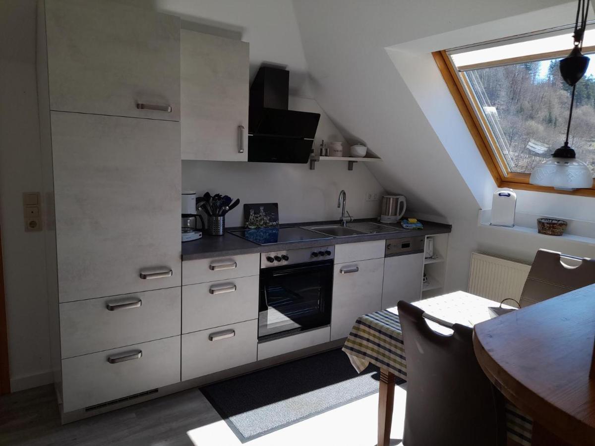 Haus Elsholz Willingen Apartment Willingen  Luaran gambar