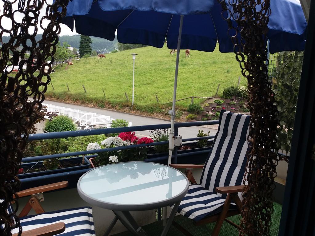 Haus Elsholz Willingen Apartment Willingen  Luaran gambar