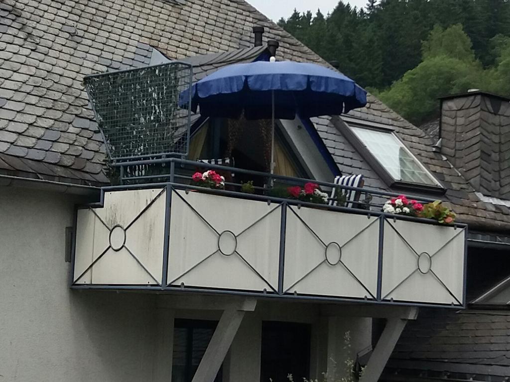 Haus Elsholz Willingen Apartment Willingen  Luaran gambar