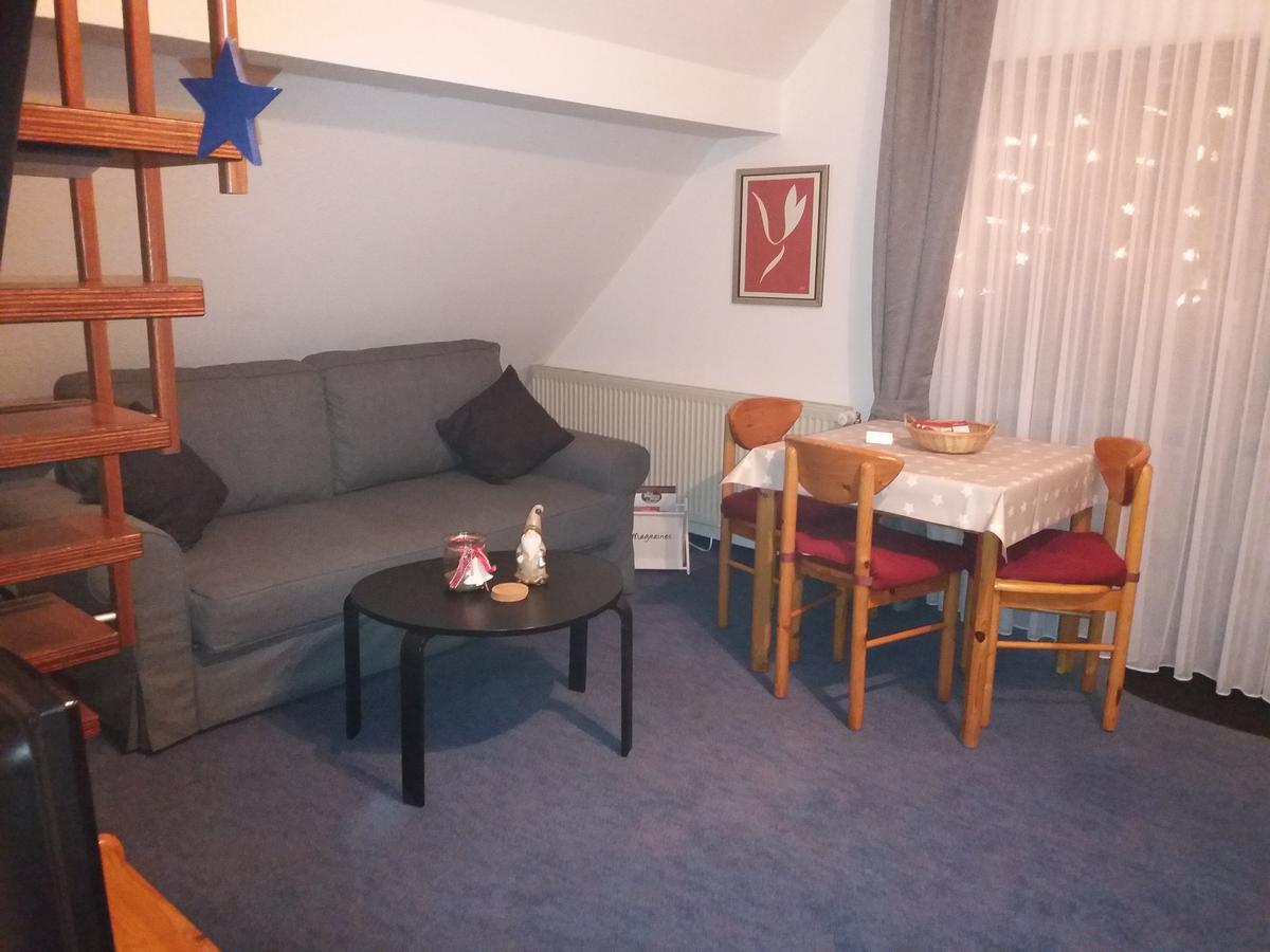 Haus Elsholz Willingen Apartment Willingen  Luaran gambar